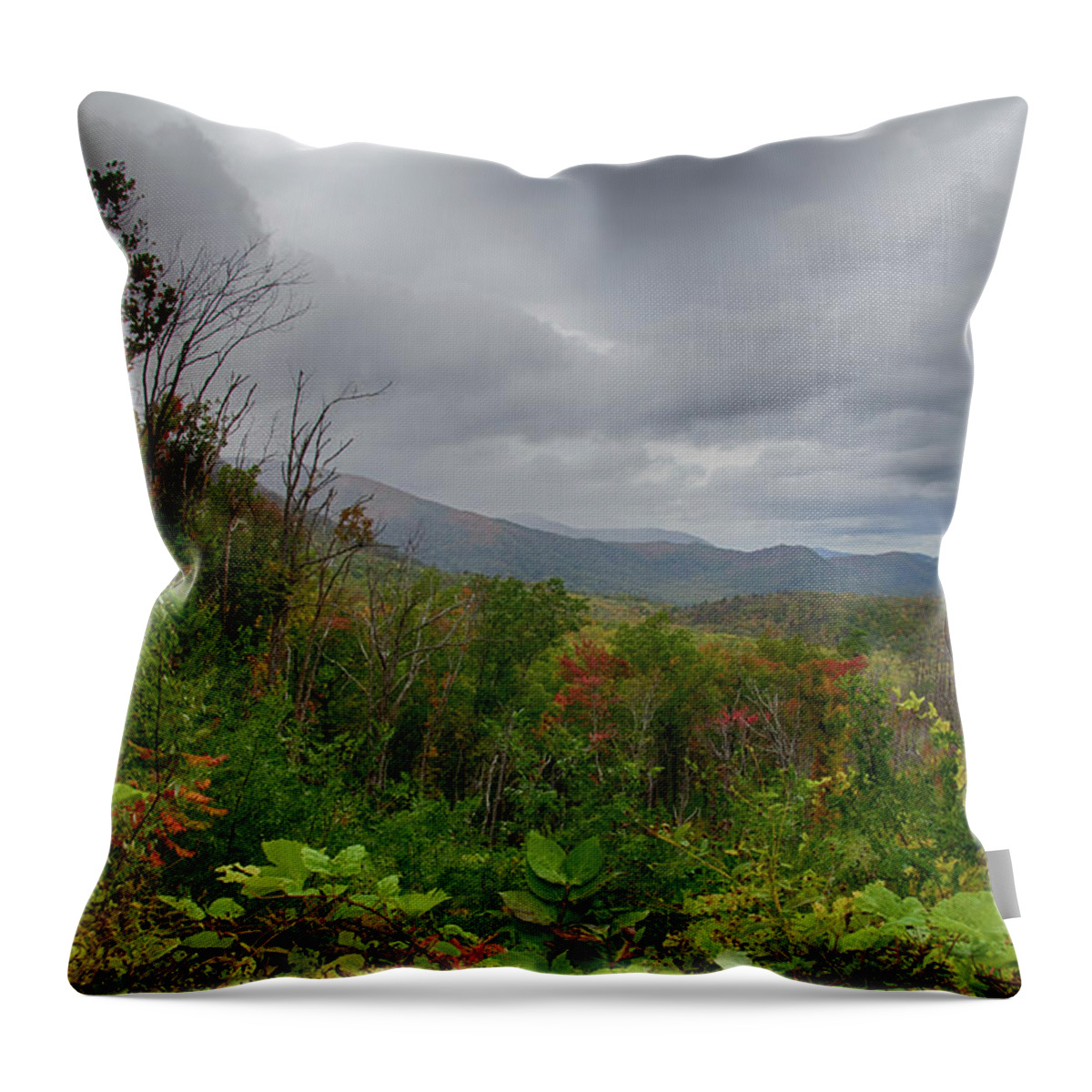 Smokies Throw Pillow featuring the photograph Fall Landscape by Jim Cook