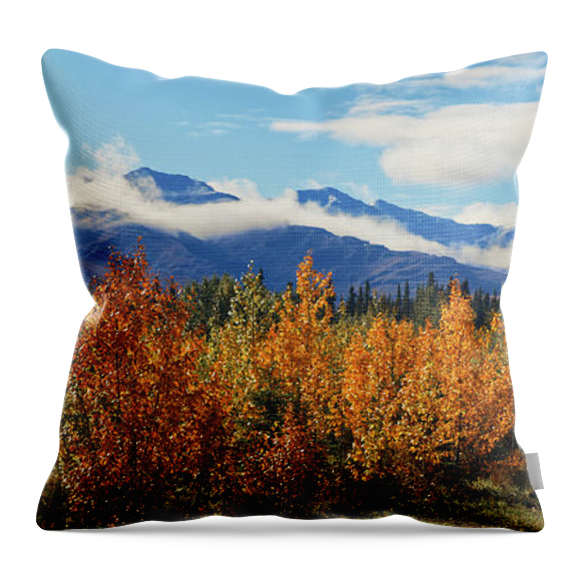 Fall Throw Pillow featuring the photograph Alaskan Fall Mountain Foliage by Doolittle Photography and Art