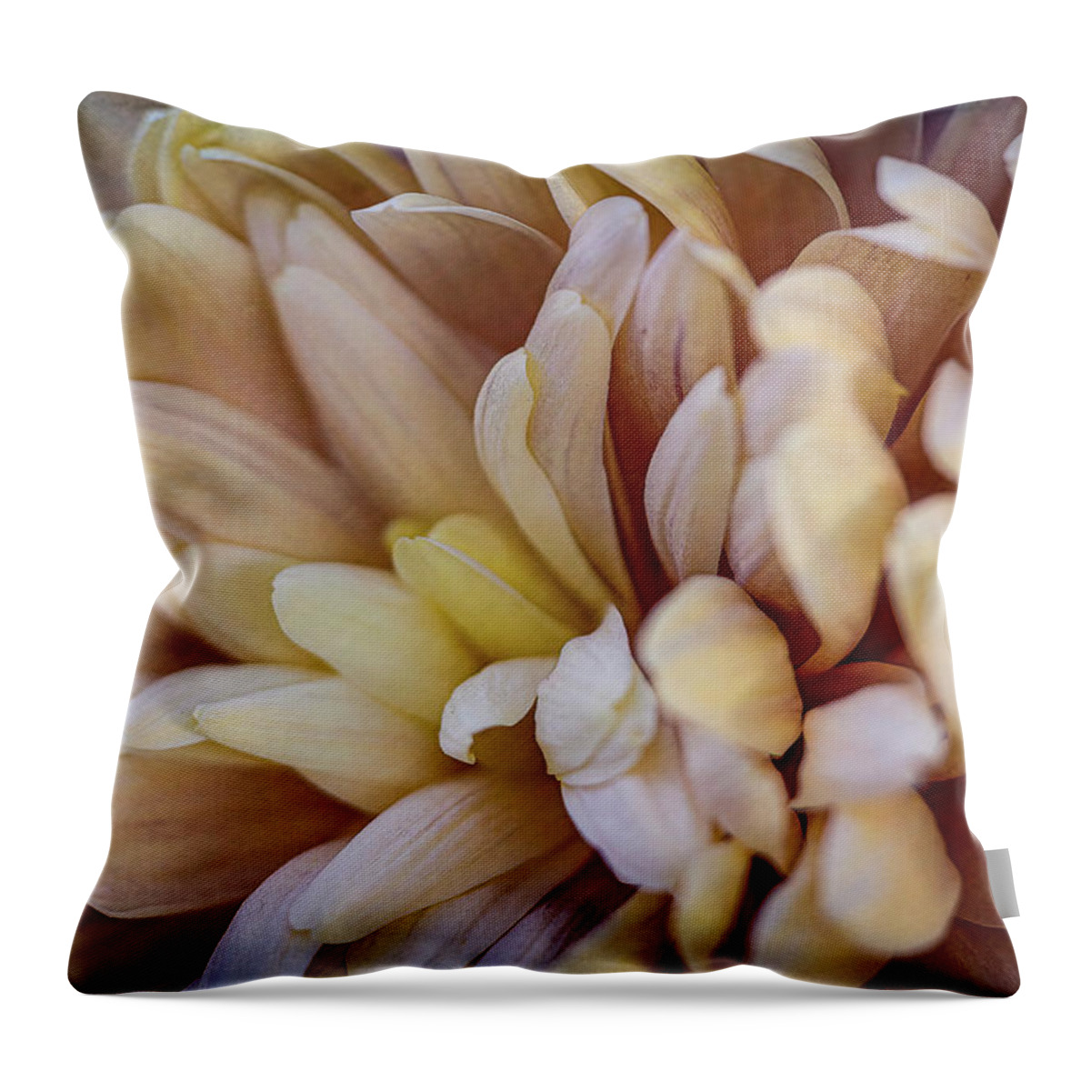 Fall Throw Pillow featuring the photograph Fall Mums 2 by Cheri Freeman