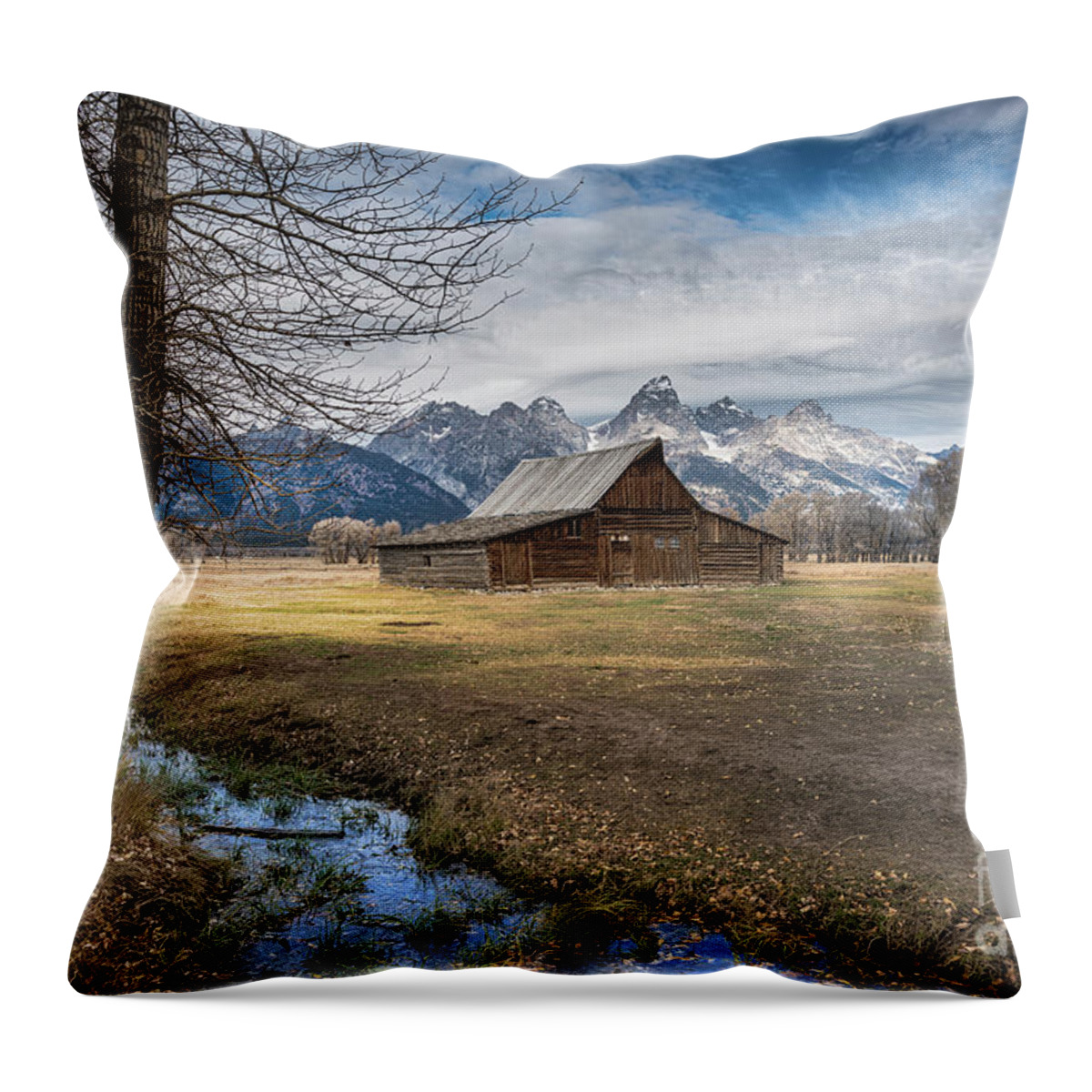Sandra Bronstein Throw Pillow featuring the photograph Fall on Mormon Row - Grand Teton National Park by Sandra Bronstein
