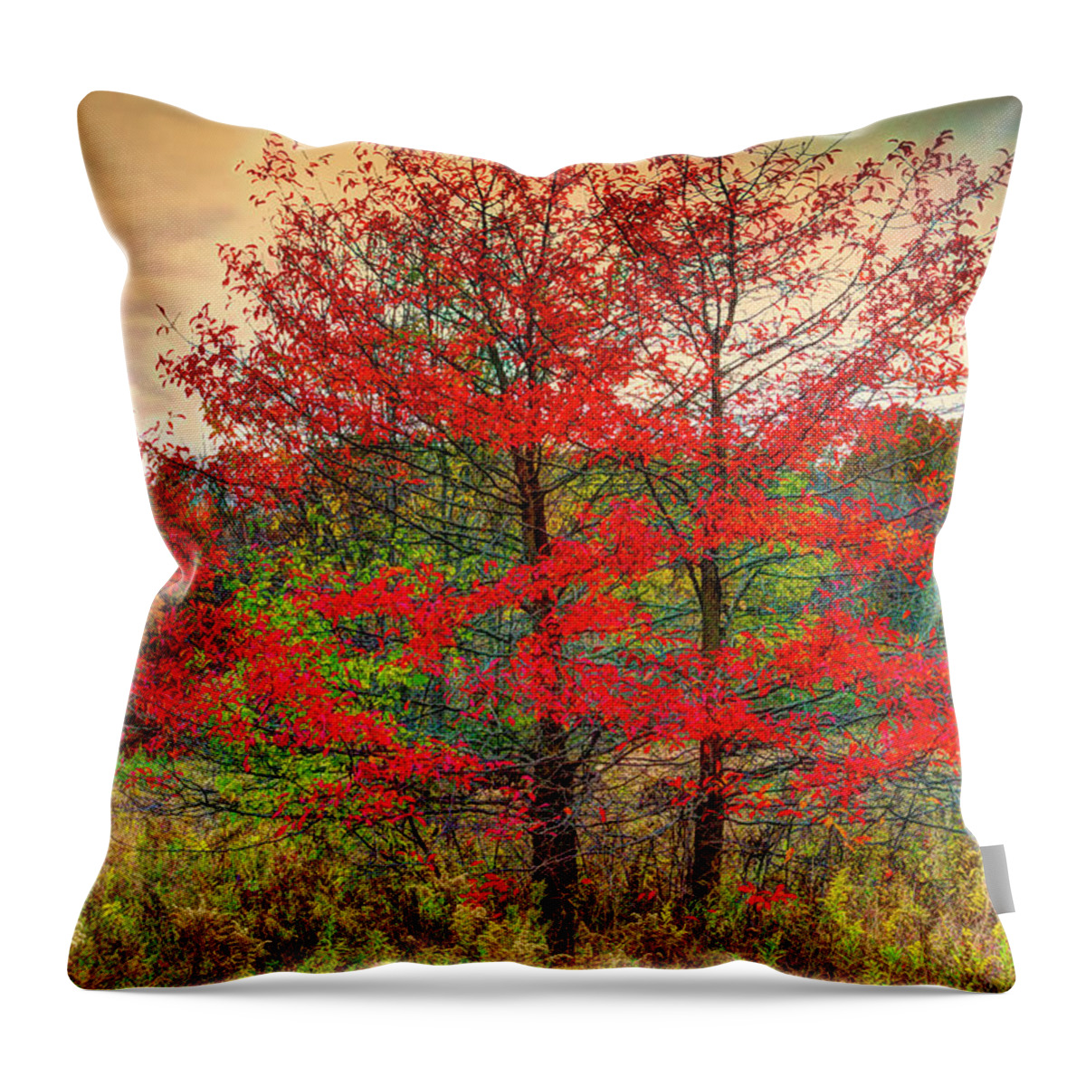 Fall Throw Pillow featuring the photograph Fall Painting by Skip Tribby