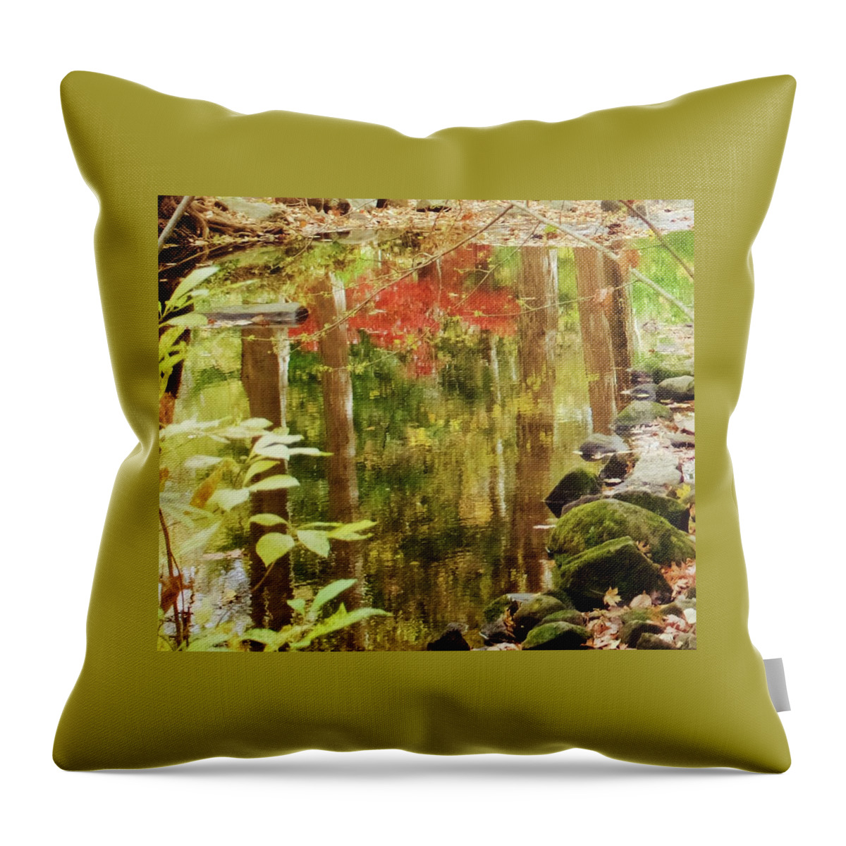 Autumn Throw Pillow featuring the photograph Fall Parallels by Denise Benson
