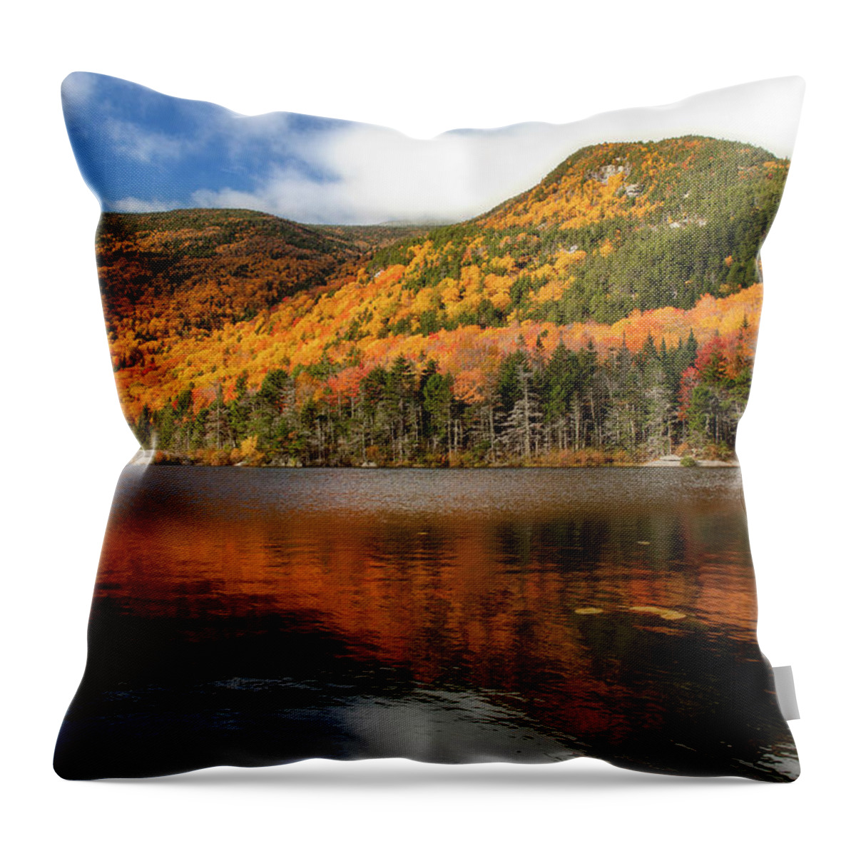 Beaver Pond New Hampshire In Fall Throw Pillow featuring the photograph Fall Reflections Beaver Pond by Dan Sproul
