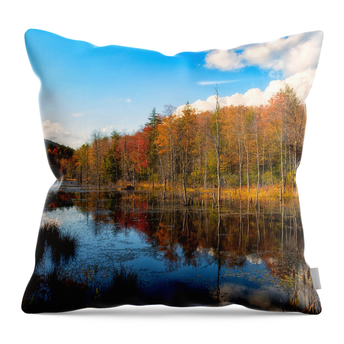 Fall Reflections Throw Pillow featuring the photograph Fall Reflections by Russell Pugh