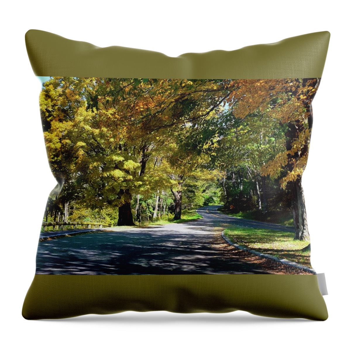 Blue Ridge Mountains Throw Pillow featuring the photograph Fall Splendor in the Blue Ridge Mountains by Sherry Kuhlkin