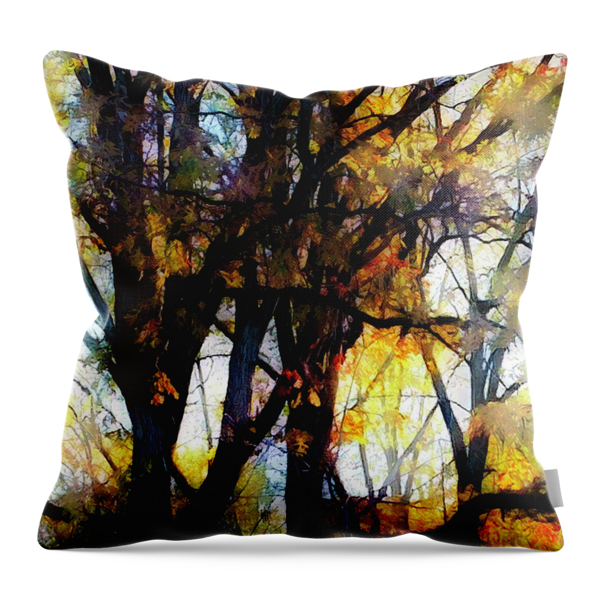 Woods Throw Pillow featuring the photograph Fall trees by Tim Nyberg