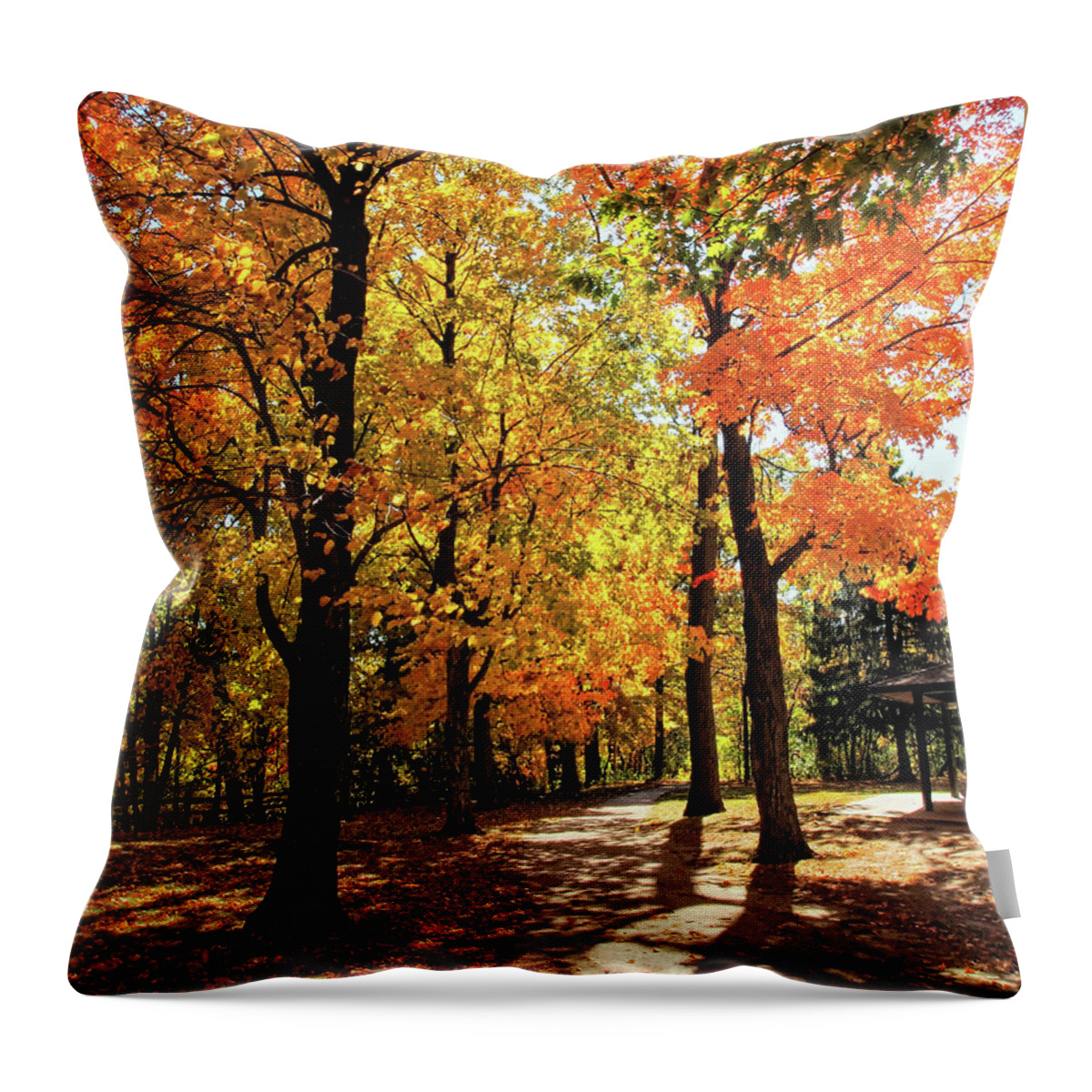 Fall Throw Pillow featuring the photograph Fall Walkway by Scott Olsen