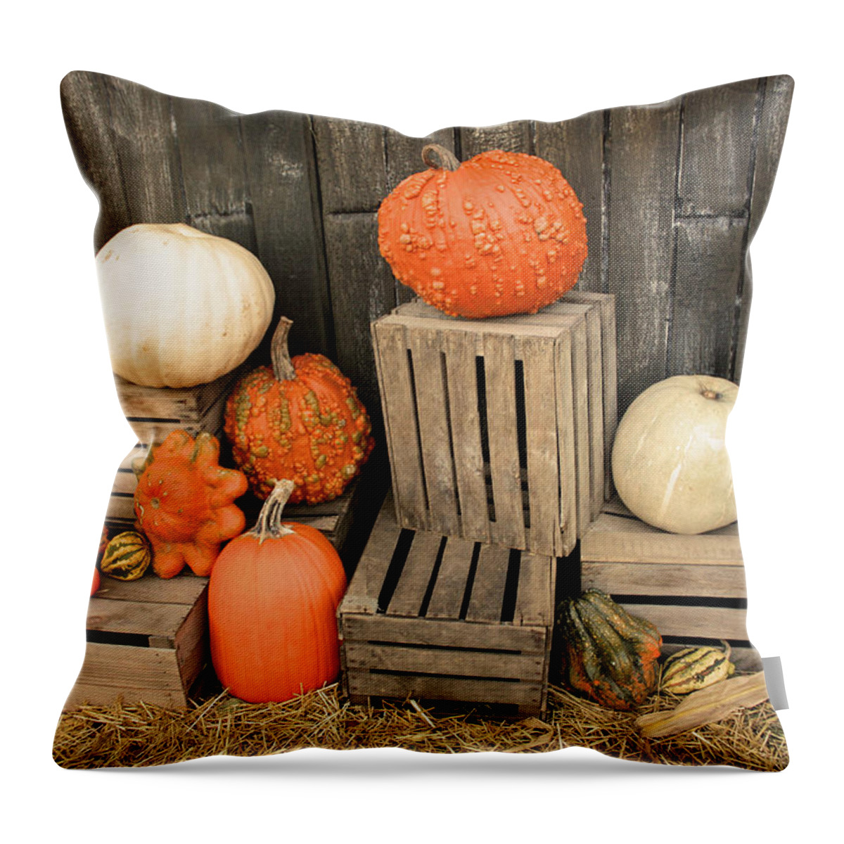 Pumpkin Throw Pillow featuring the photograph Fall Ya'll by Kristin Elmquist