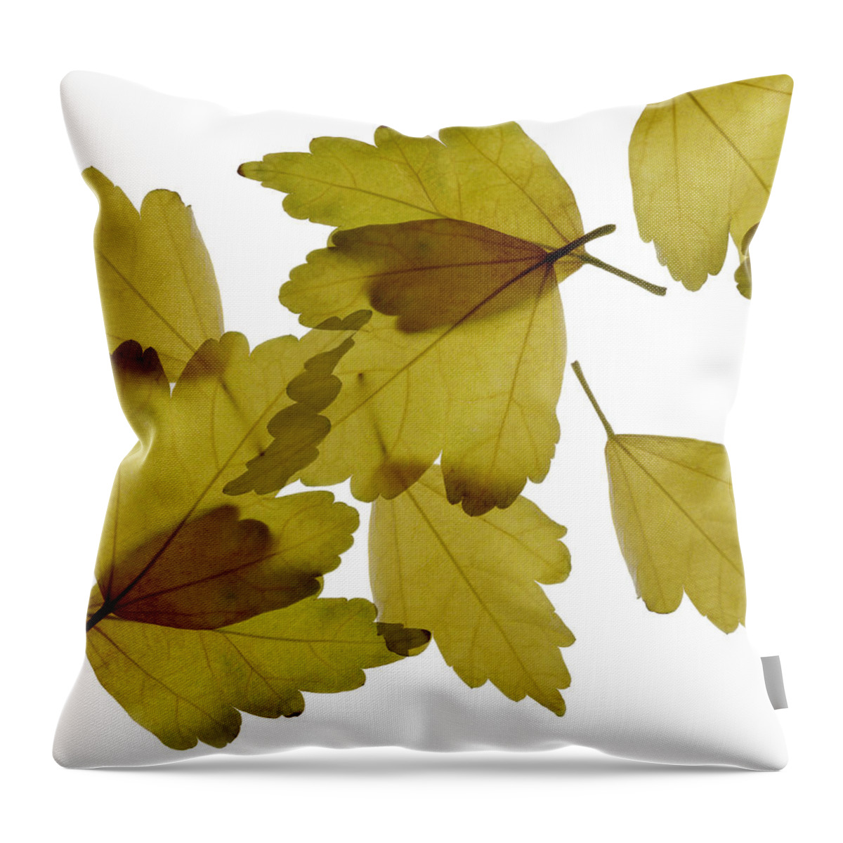 Hibiscus Throw Pillow featuring the photograph Falling by Marsha Tudor