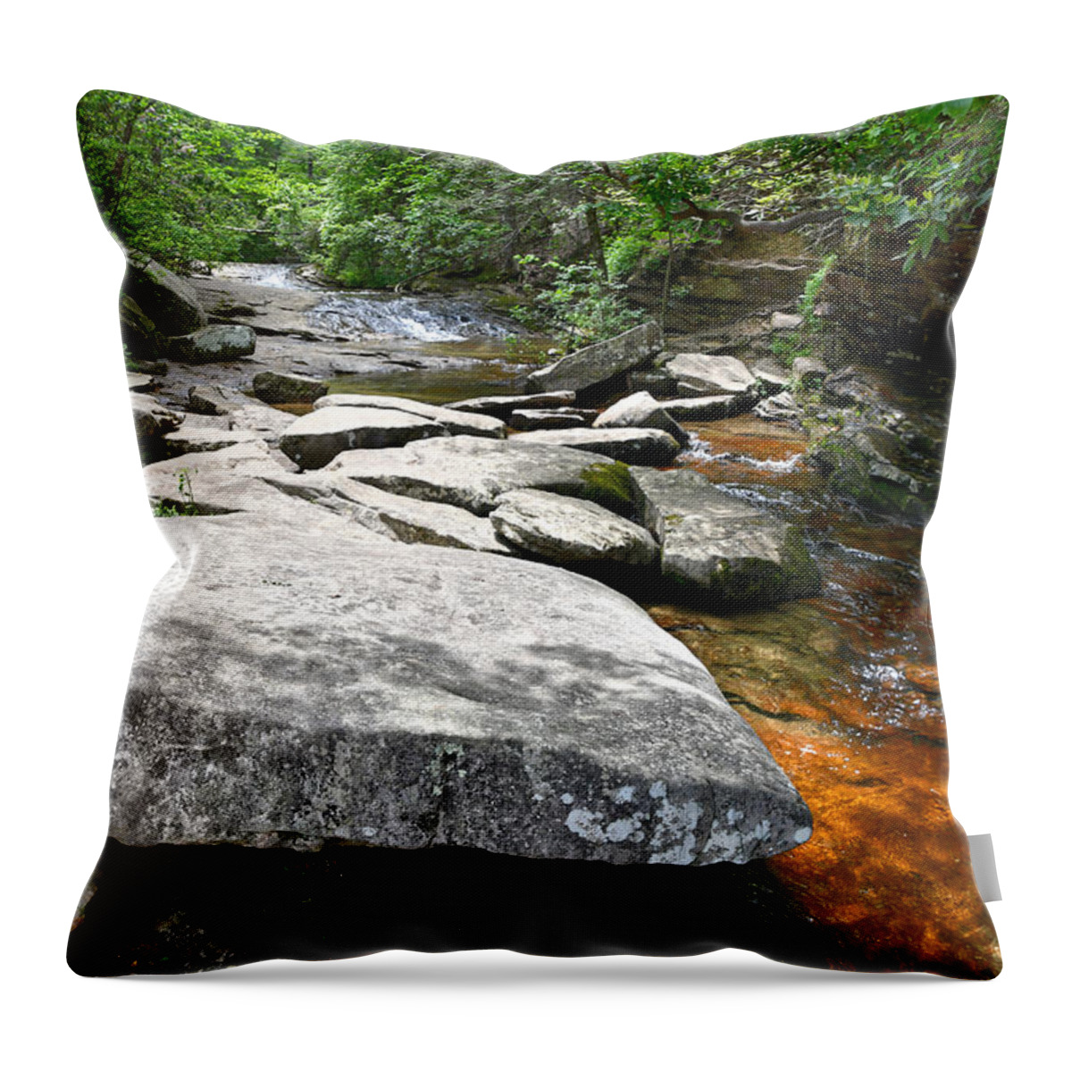 Falling Water Falls Throw Pillow featuring the photograph Falling Water Falls 4 by Phil Perkins