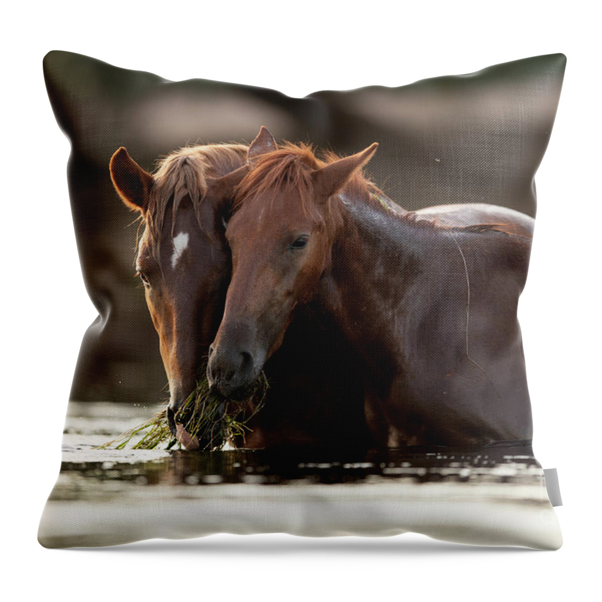 Salt River Wild Horses Throw Pillow featuring the photograph Family Dinner by Shannon Hastings