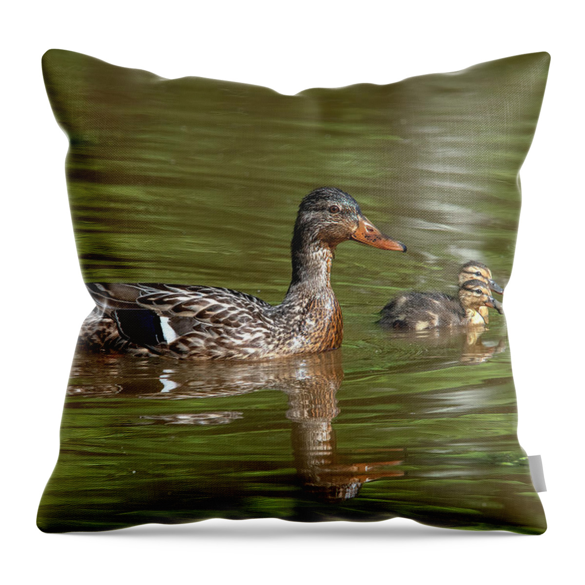 Nature Throw Pillow featuring the photograph Family of Mallard Ducks DWF0242 by Gerry Gantt