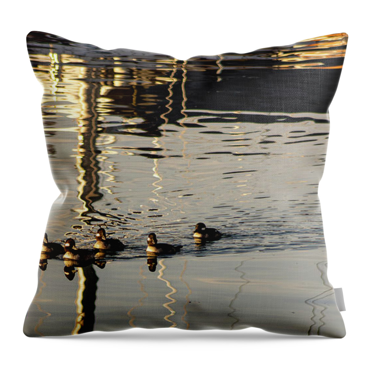 Water Throw Pillow featuring the photograph Family Stroll by Tim Dussault