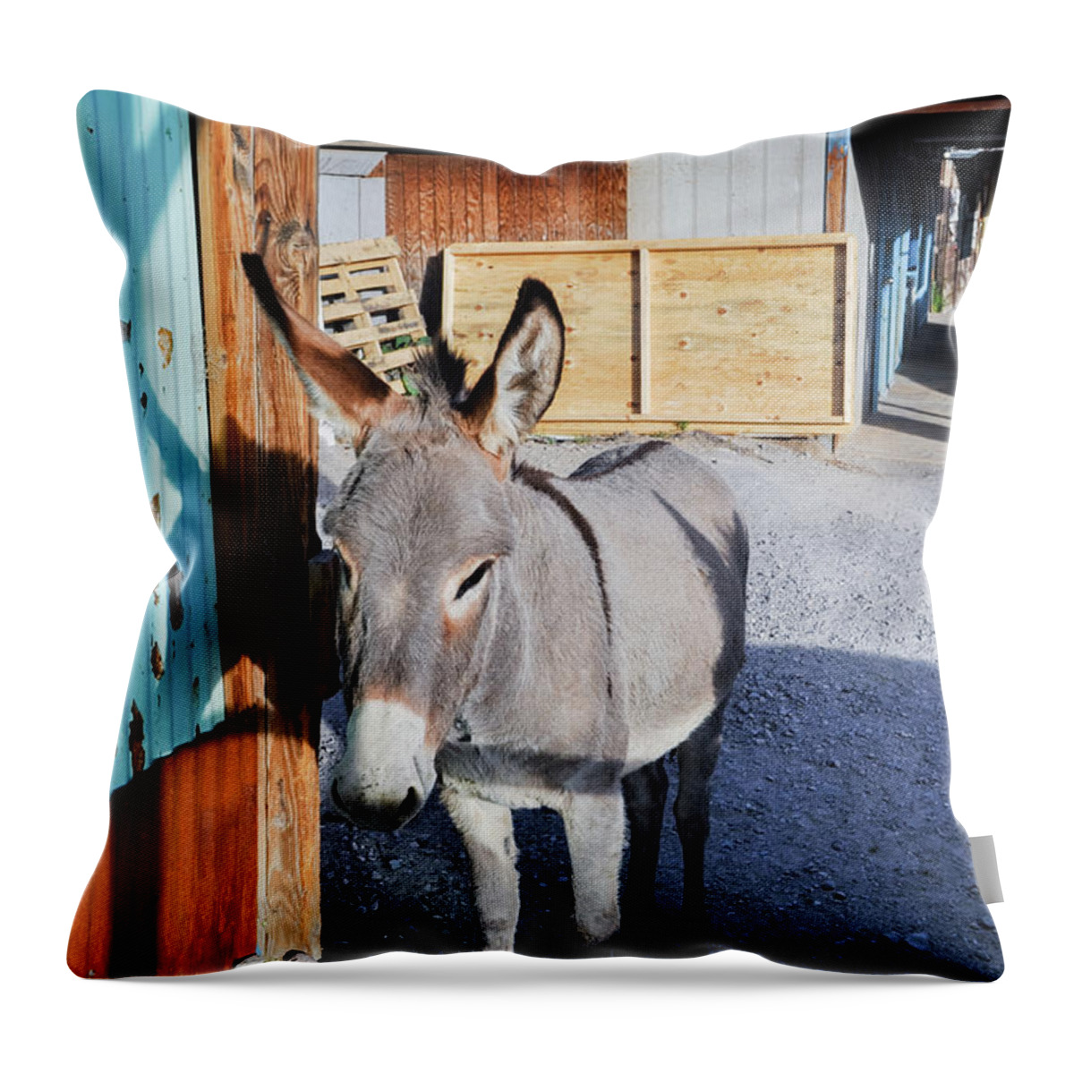 Route 66 Throw Pillow featuring the photograph Famous Route 66 Burro by Kyle Hanson