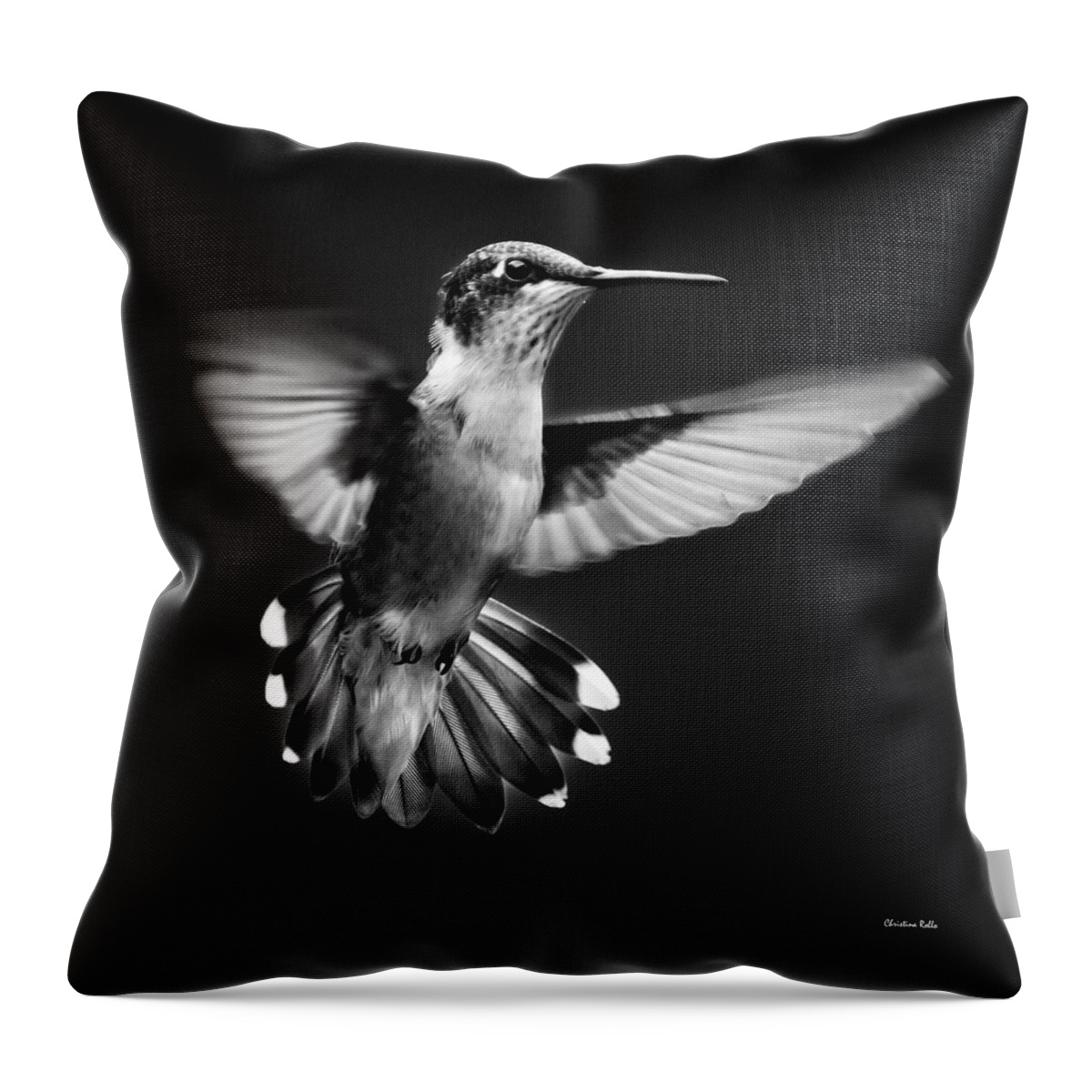 Hummingbird Throw Pillow featuring the photograph Fantail Hummingbird by Christina Rollo