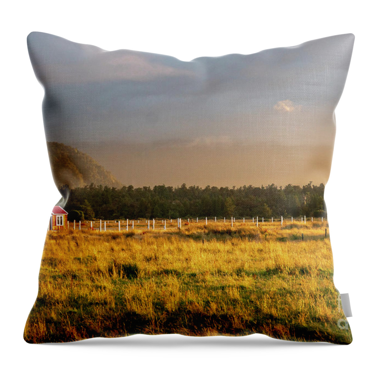 New Zealand Throw Pillow featuring the photograph #Farm #House on the Beach in #NewZealand by Max Blumenthal