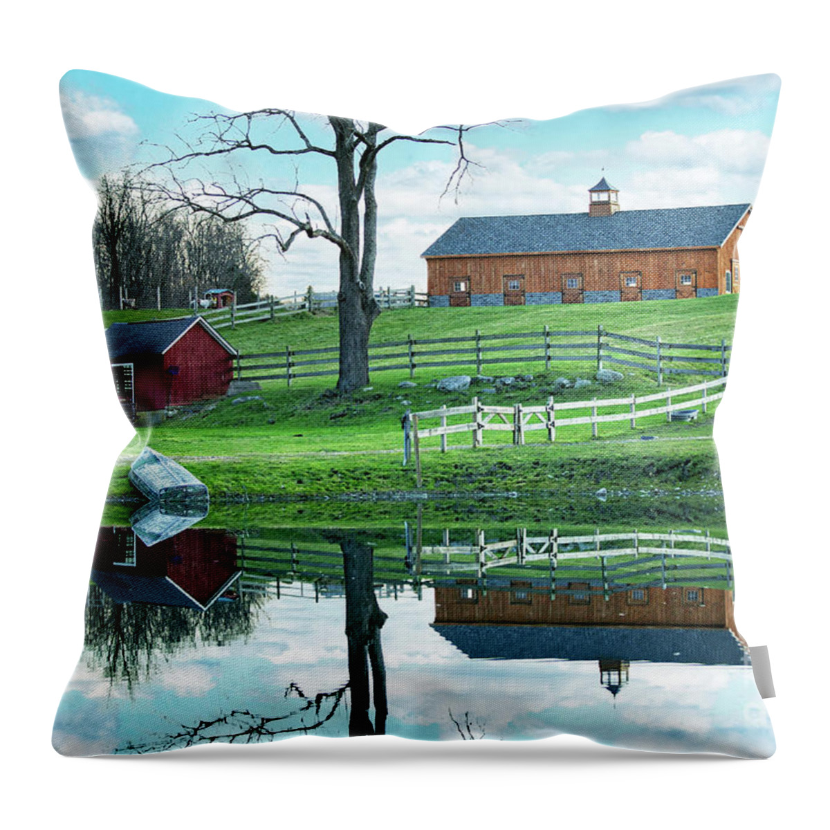 Barn Throw Pillow featuring the photograph Farm Pond by Nicki McManus