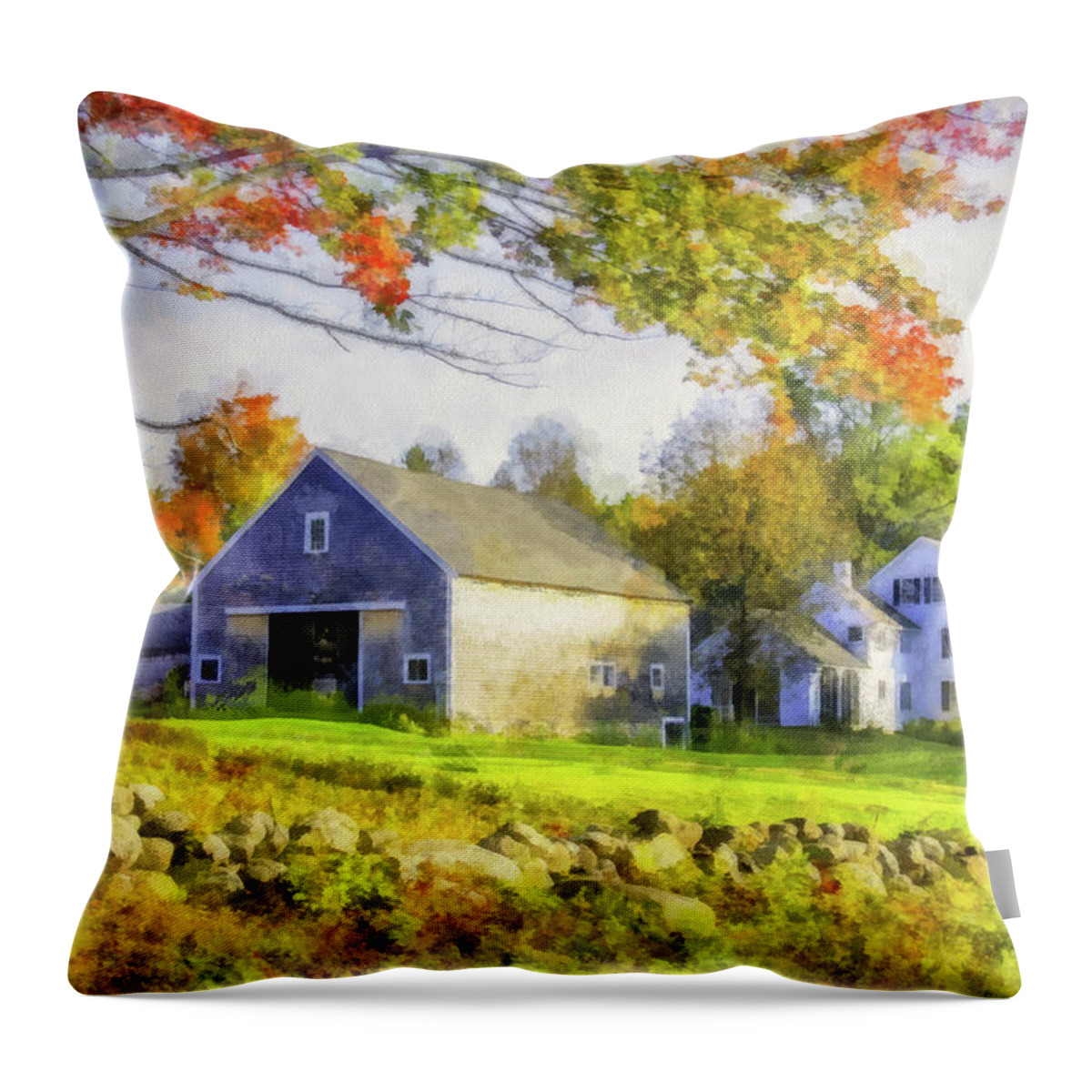 Landscape Throw Pillow featuring the photograph Farmhouse and Barn Scene in Autumn by Betty Denise