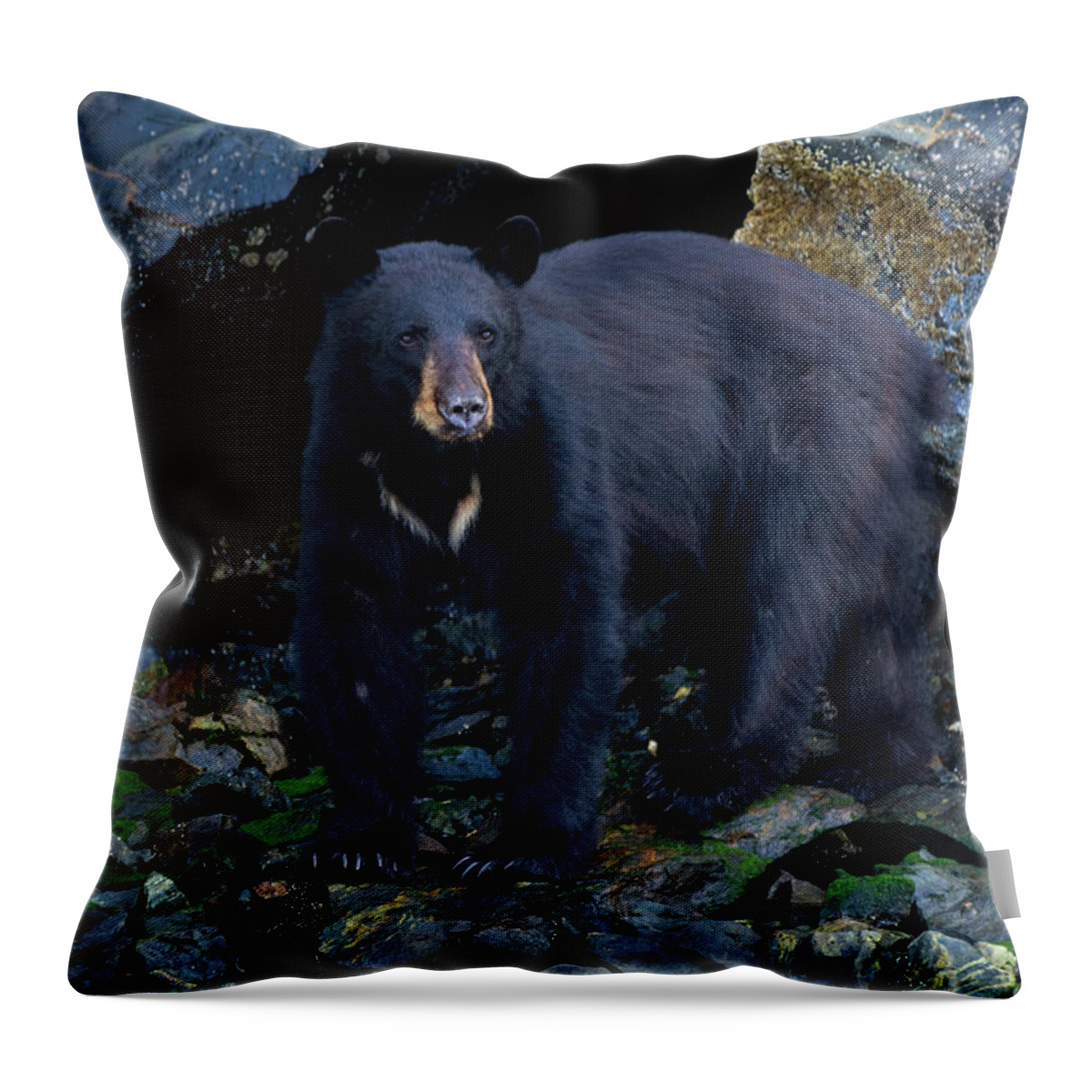 Fear Of Change Throw Pillow featuring the photograph Fear Of Change - Bear Art by Jordan Blackstone