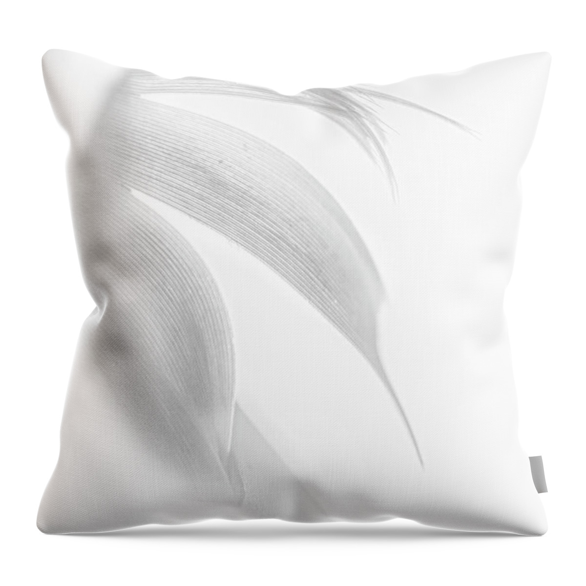 Feather Throw Pillow featuring the photograph Feather 3 by Kathy Paynter