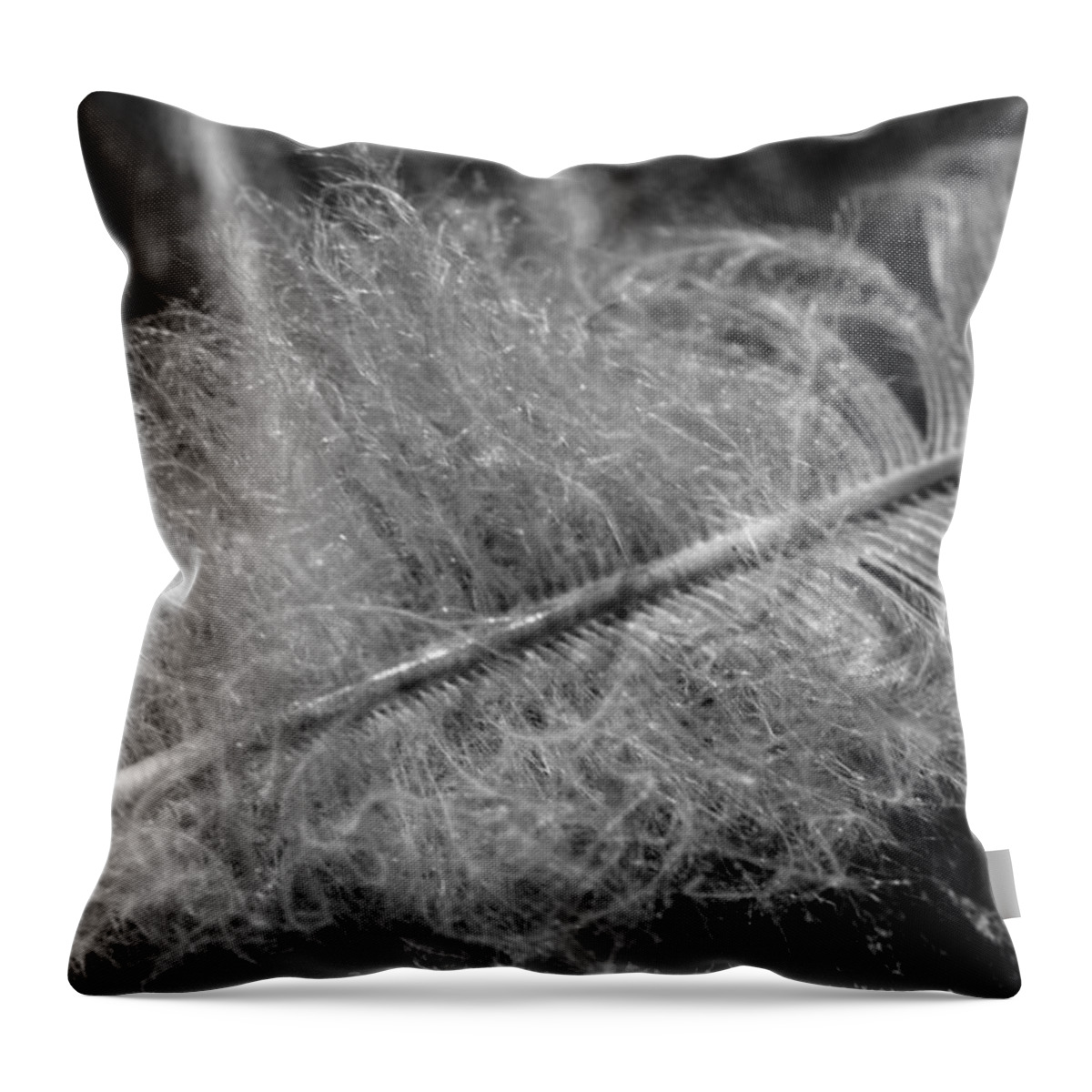 Photo Throw Pillow featuring the photograph Feather in Black and White by Evan Foster
