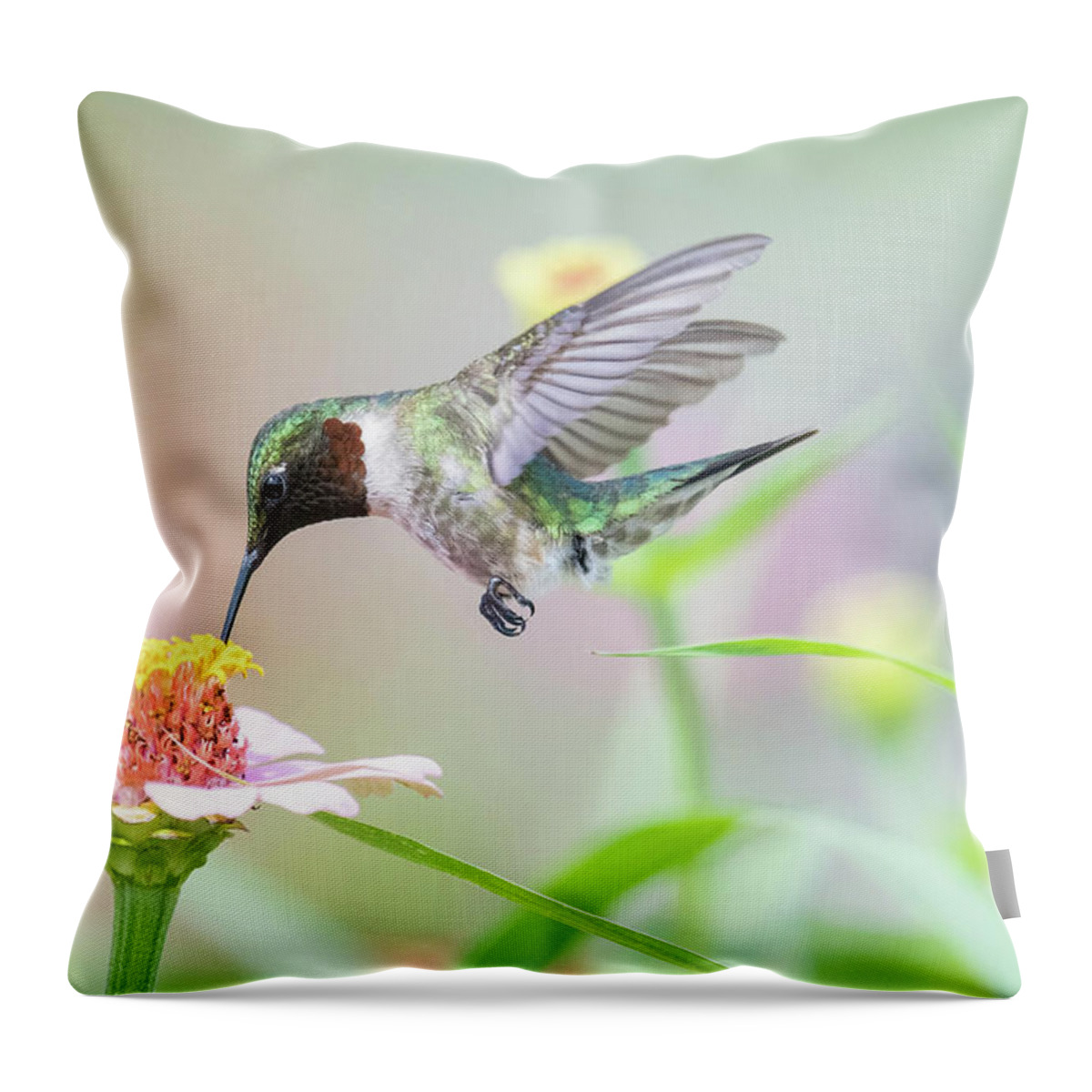Ruby Throated Hummingbird Throw Pillow featuring the photograph Feathered Fancy by Linda Shannon Morgan