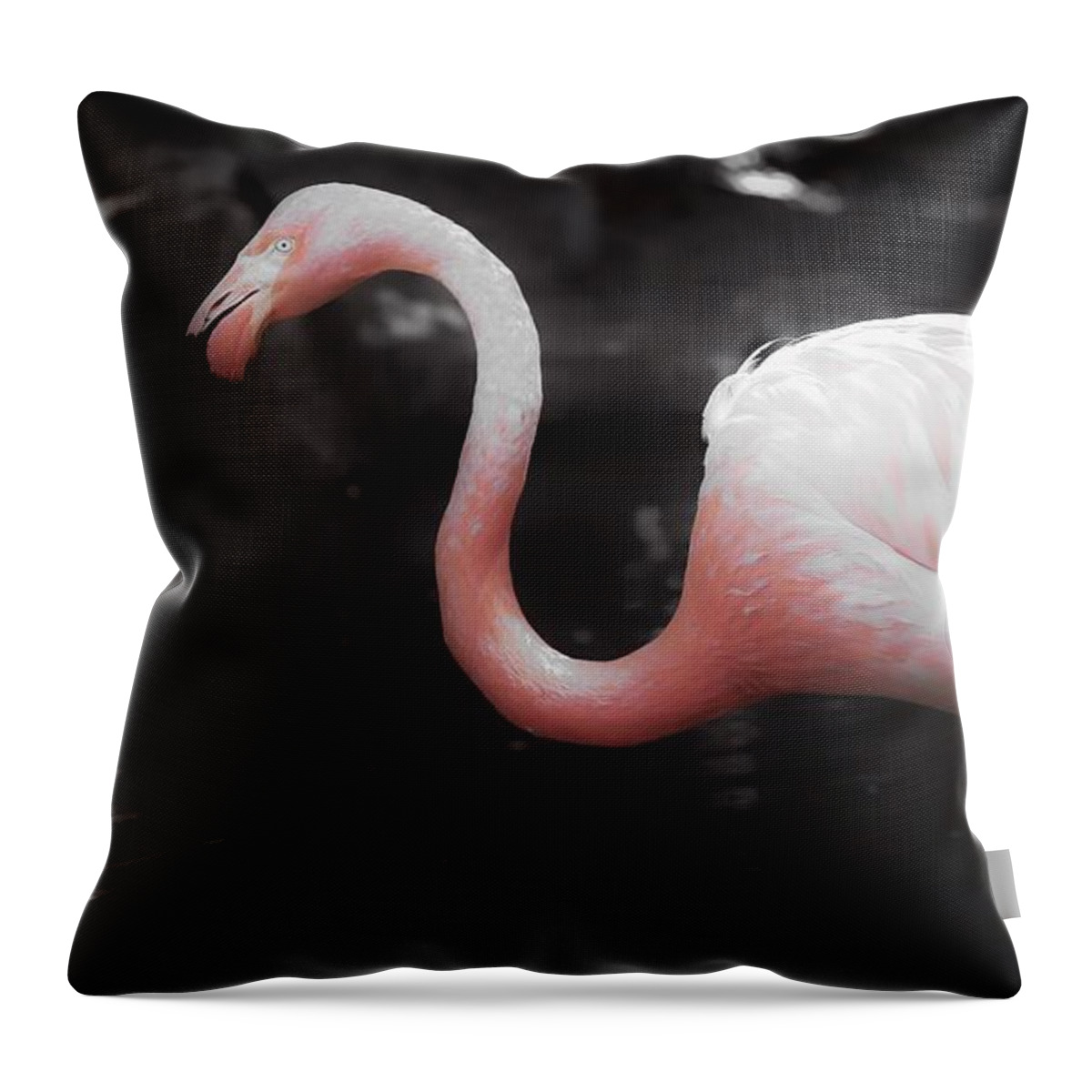 Flamingo Throw Pillow featuring the photograph Feathers by Veronica Batterson