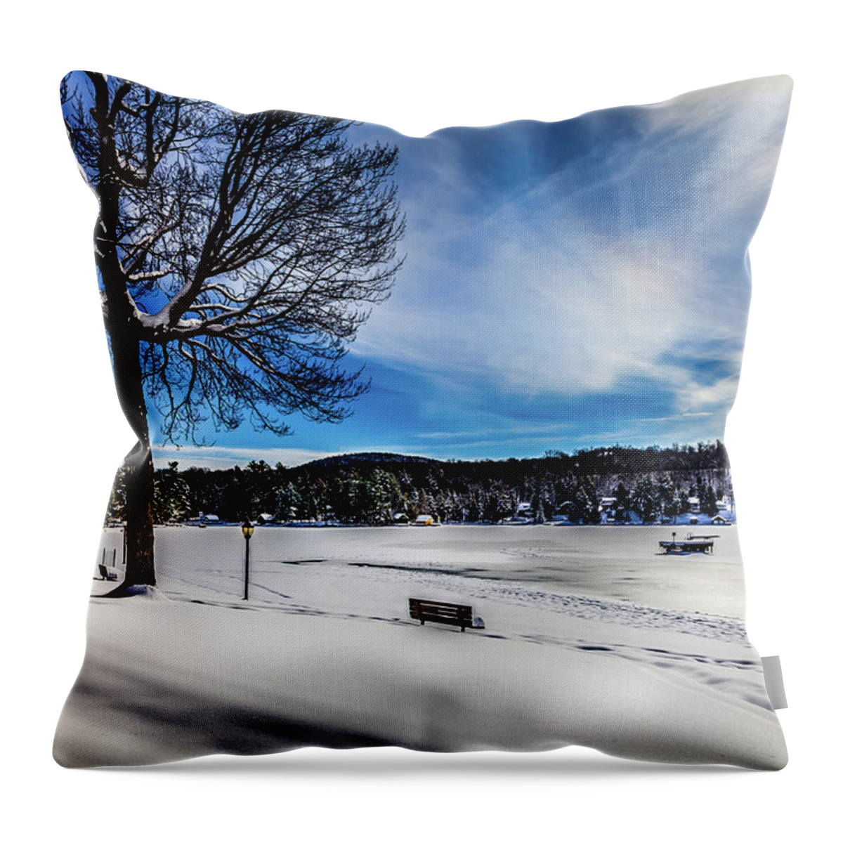 February In Old Forge Throw Pillow featuring the photograph February in Old Forge by David Patterson