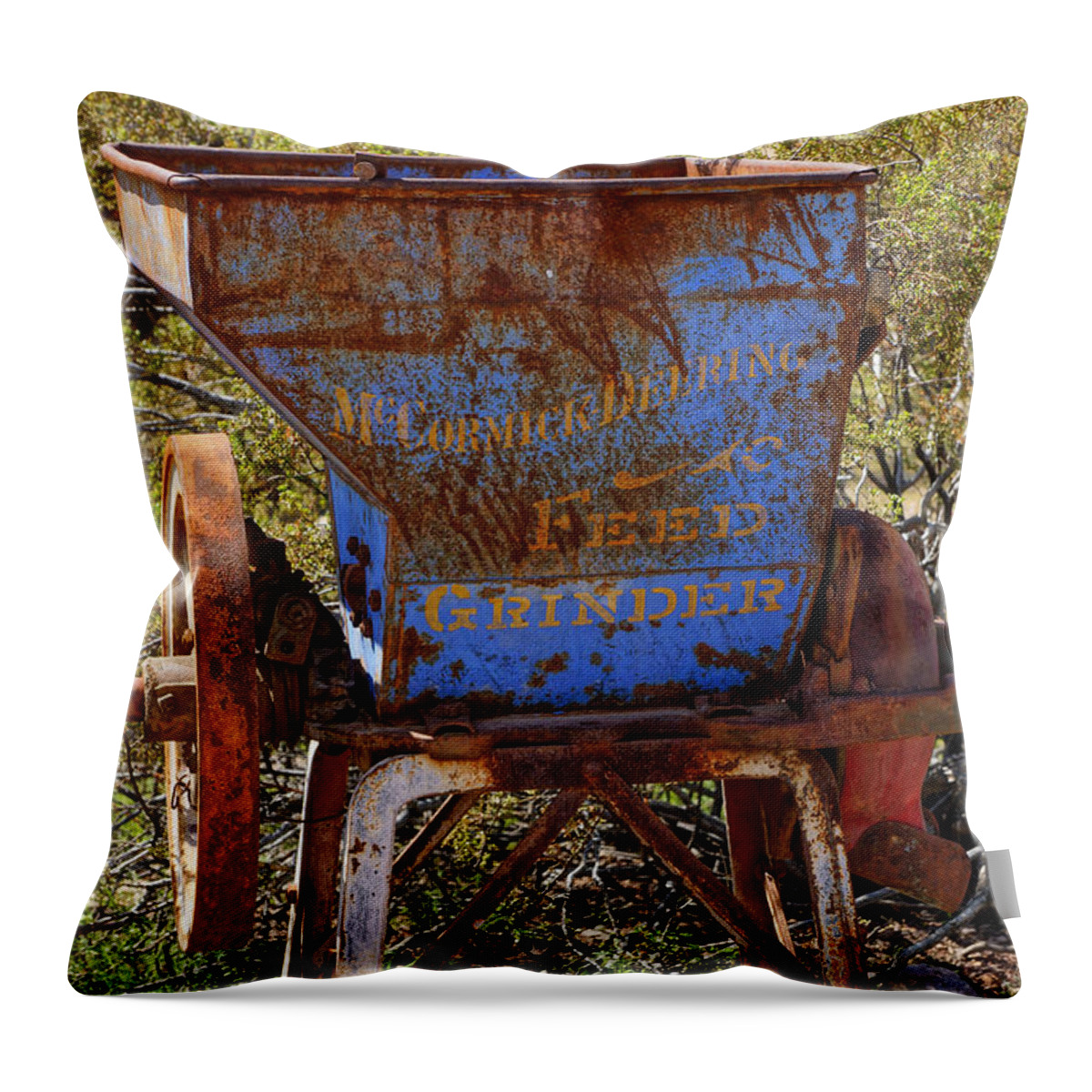  Throw Pillow featuring the photograph Feed Grinder by Rodney Lee Williams
