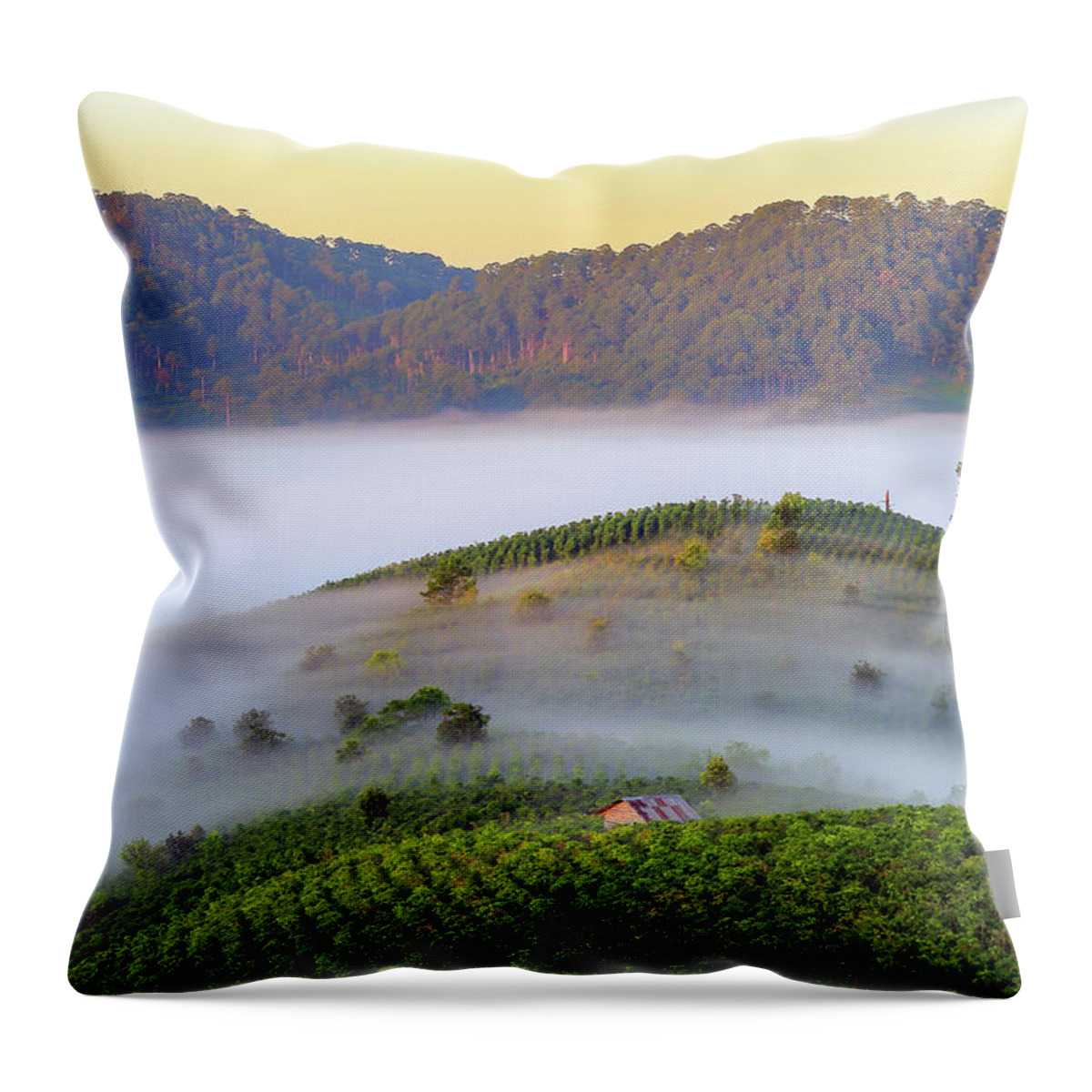 Awesome Throw Pillow featuring the photograph Feeling Of The Fog by Khanh Bui Phu