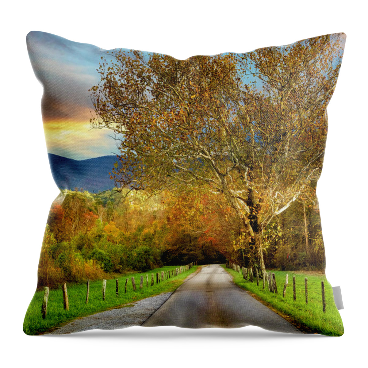 Trail Throw Pillow featuring the photograph Fence Along Sparks Lane at Cades Cove by Debra and Dave Vanderlaan