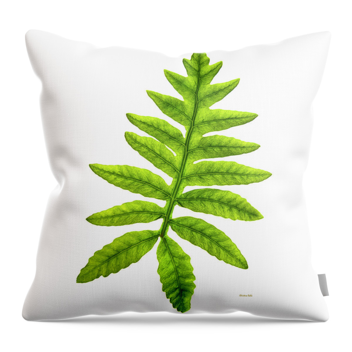 Fern Throw Pillow featuring the photograph Fern by Christina Rollo