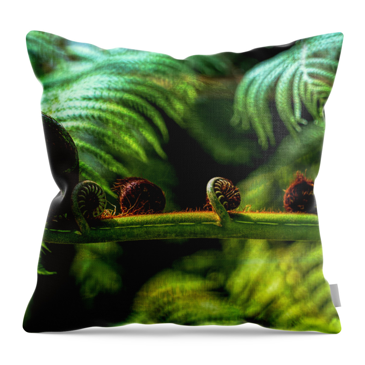 Fern Throw Pillow featuring the photograph Fern Fronds Two by Michael Hope