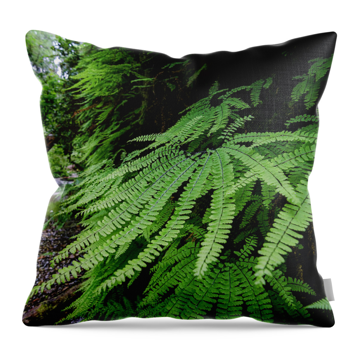Fern Throw Pillow featuring the photograph Fern Perfection by Margaret Pitcher