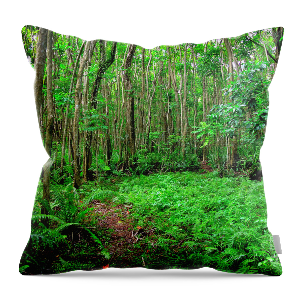 Rainforest Throw Pillow featuring the photograph Ferns in the rainforest in Guam. by Rich Cruse