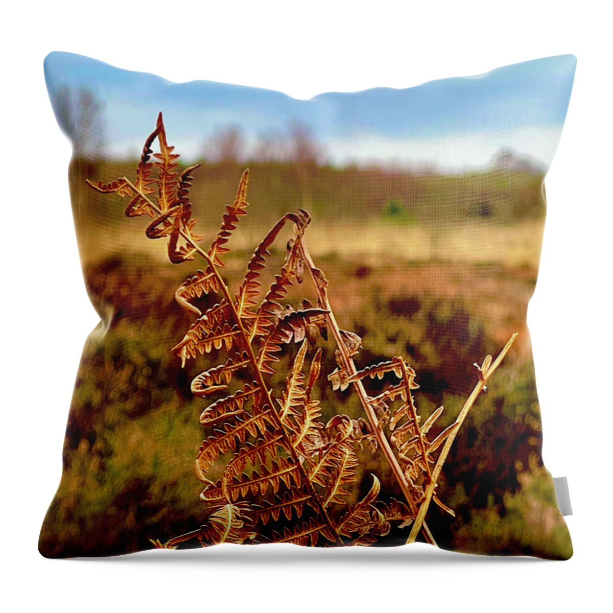 Clooncraff Throw Pillow featuring the photograph Ferns of Yesterday by Six Months Of Walking