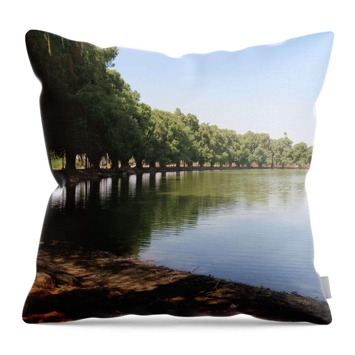 Nature Throw Pillow featuring the photograph Fiarmount Park Tree Line Up by Raymond Fernandez