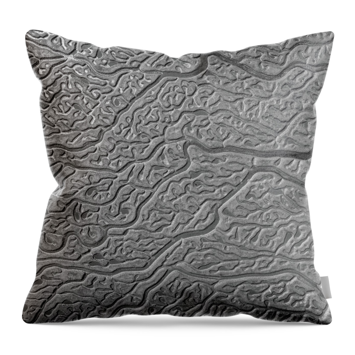 Abstract Throw Pillow featuring the photograph Fidalgo Bay Low Tide by Michael Rauwolf