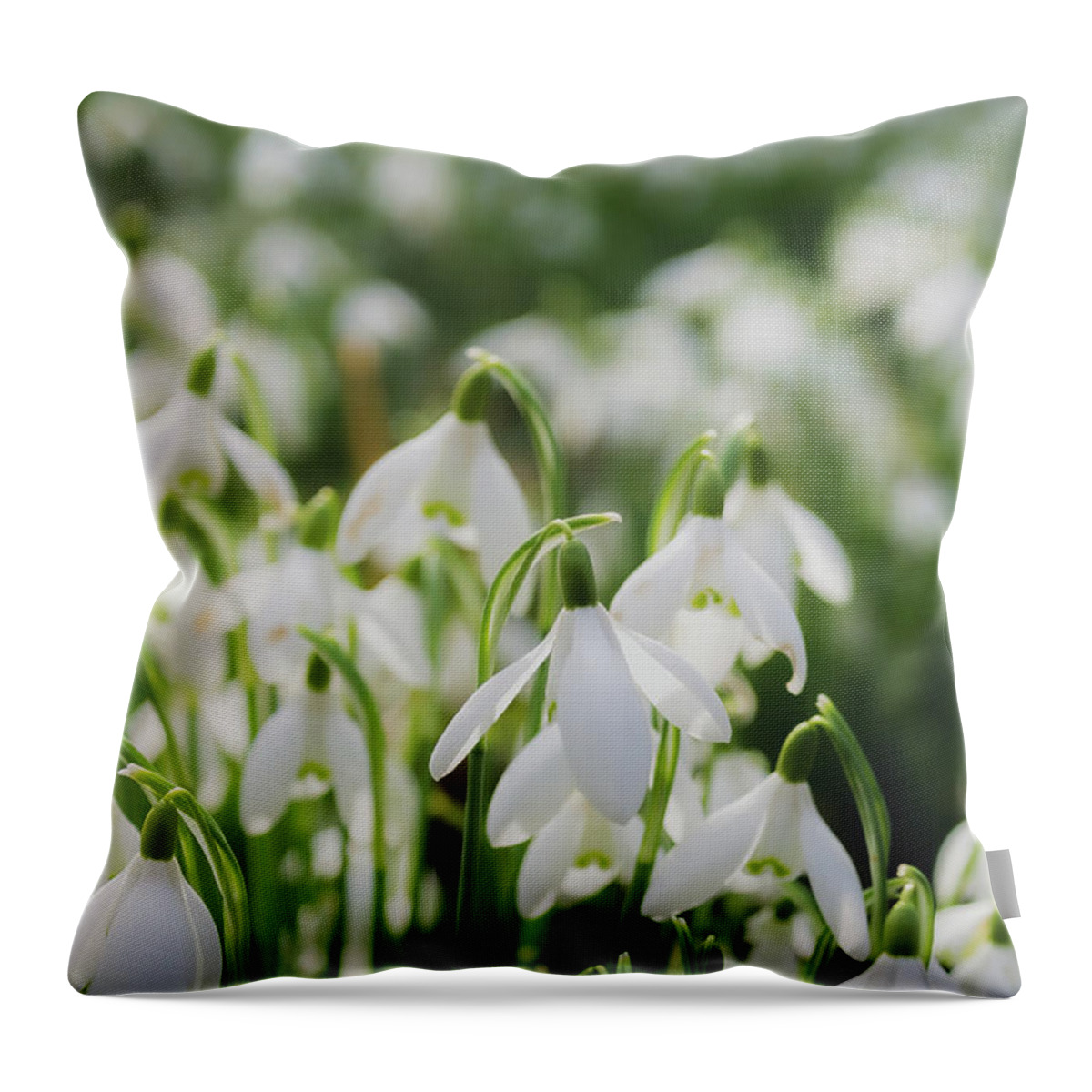 Background Throw Pillow featuring the photograph Field of snowdrops by Scott Lyons