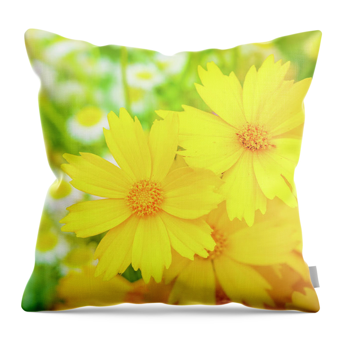 Flowers Throw Pillow featuring the photograph Field Of Spring Flowers by Jordan Hill