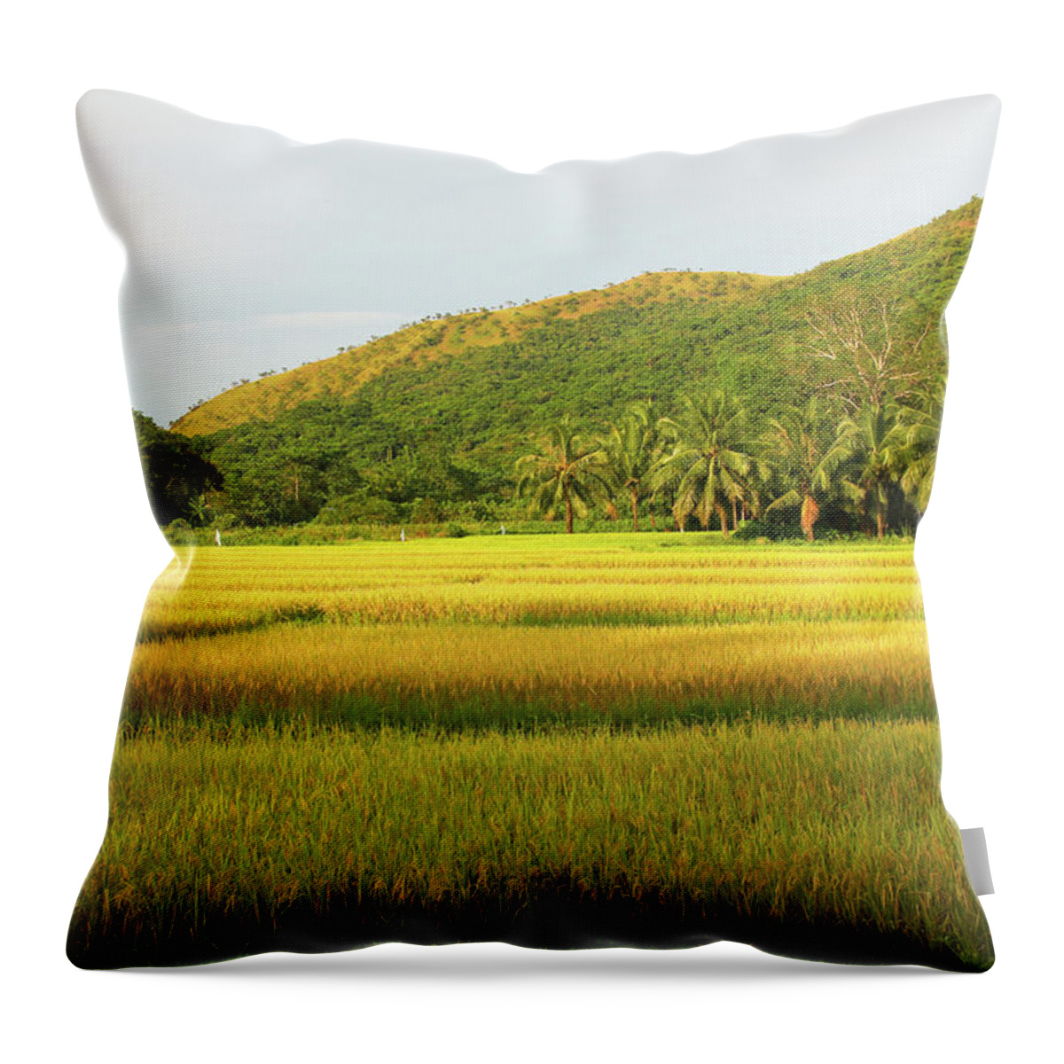 Grass Throw Pillow featuring the photograph Fields of Gold by Josu Ozkaritz