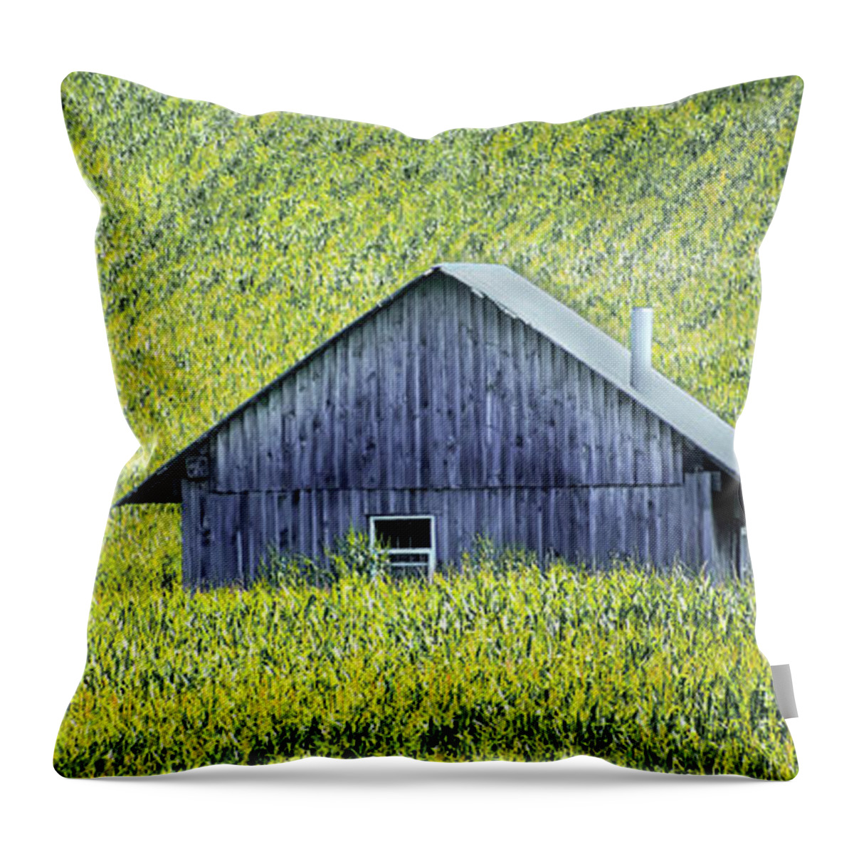 Field Throw Pillow featuring the photograph Fields of Gold by Phil S Addis