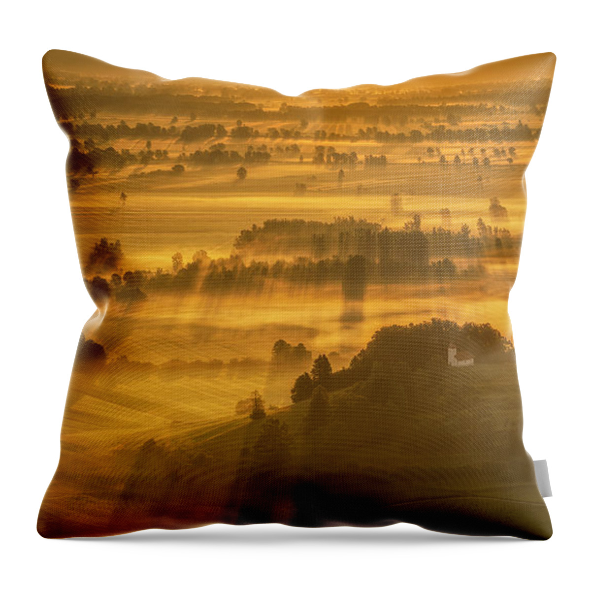 Field Throw Pillow featuring the photograph Fields of Gold by Piotr Skrzypiec