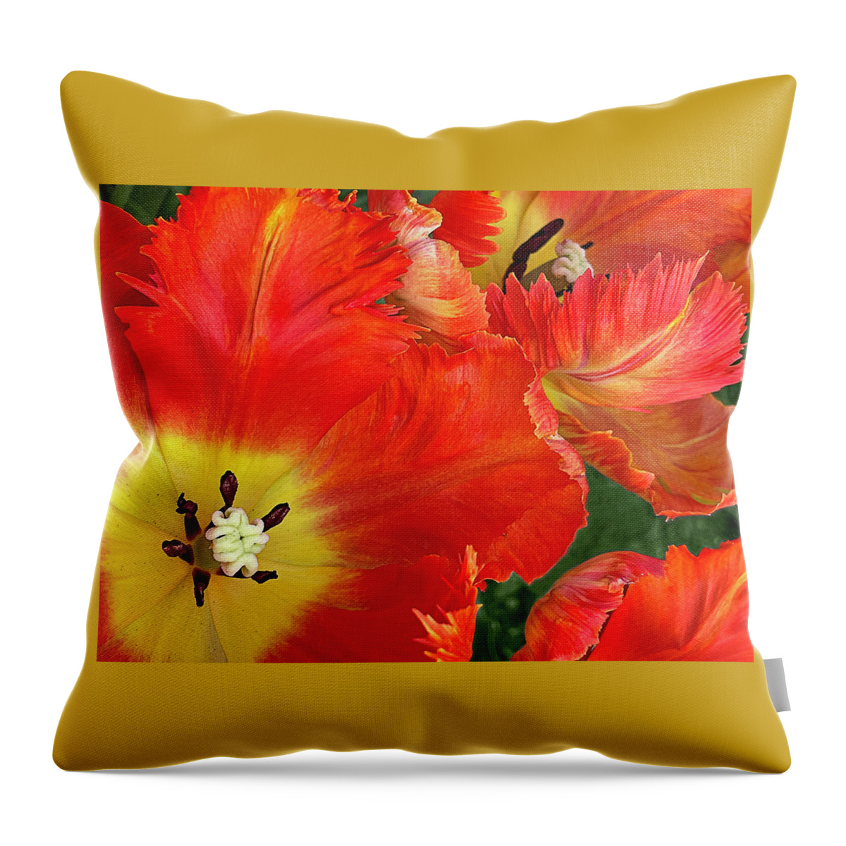 Parrot Tulip Throw Pillow featuring the photograph Fiery Free Spirits by Jill Love