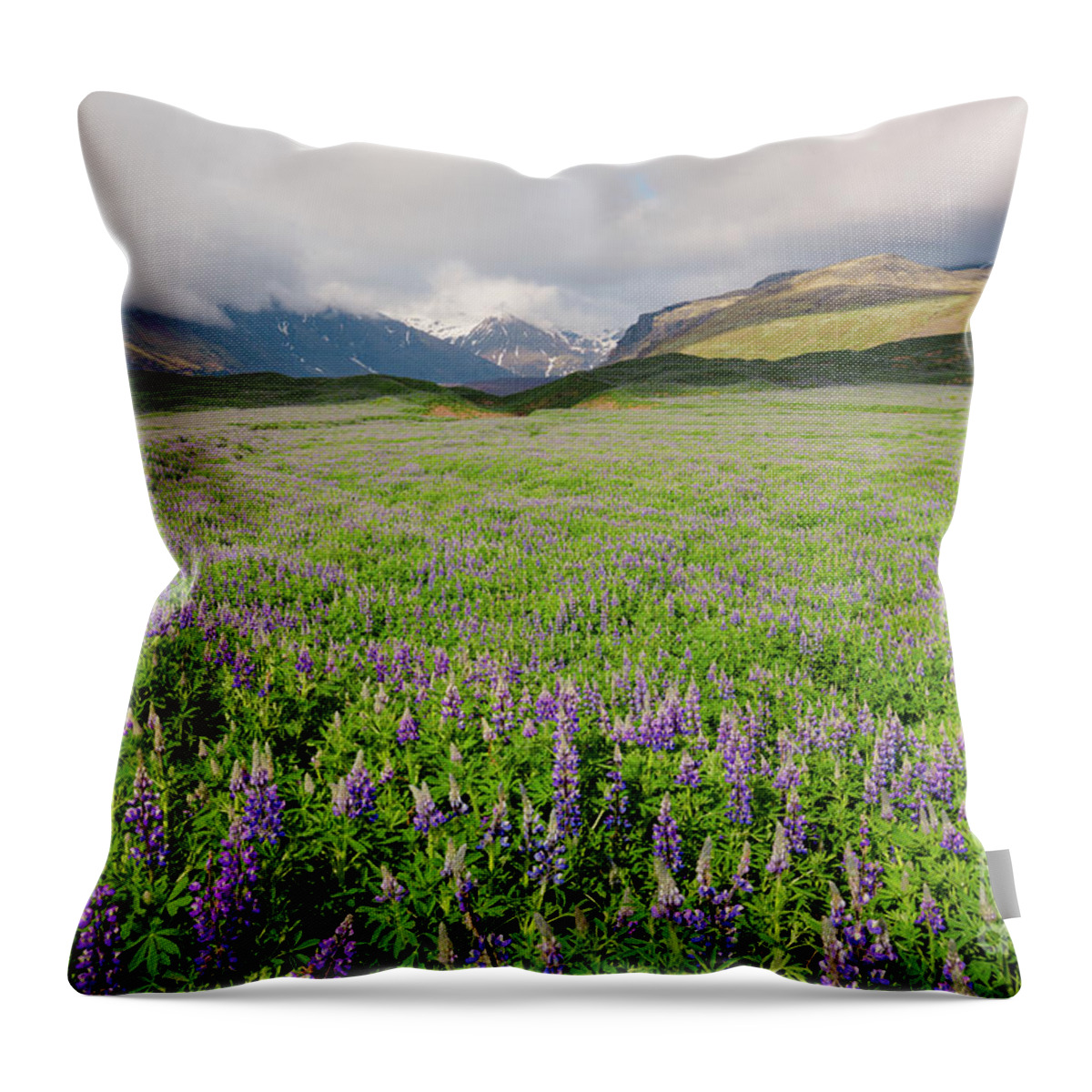 Wild Lupines Throw Pillow featuring the photograph Fifty Shades of Purple by Eva Lechner