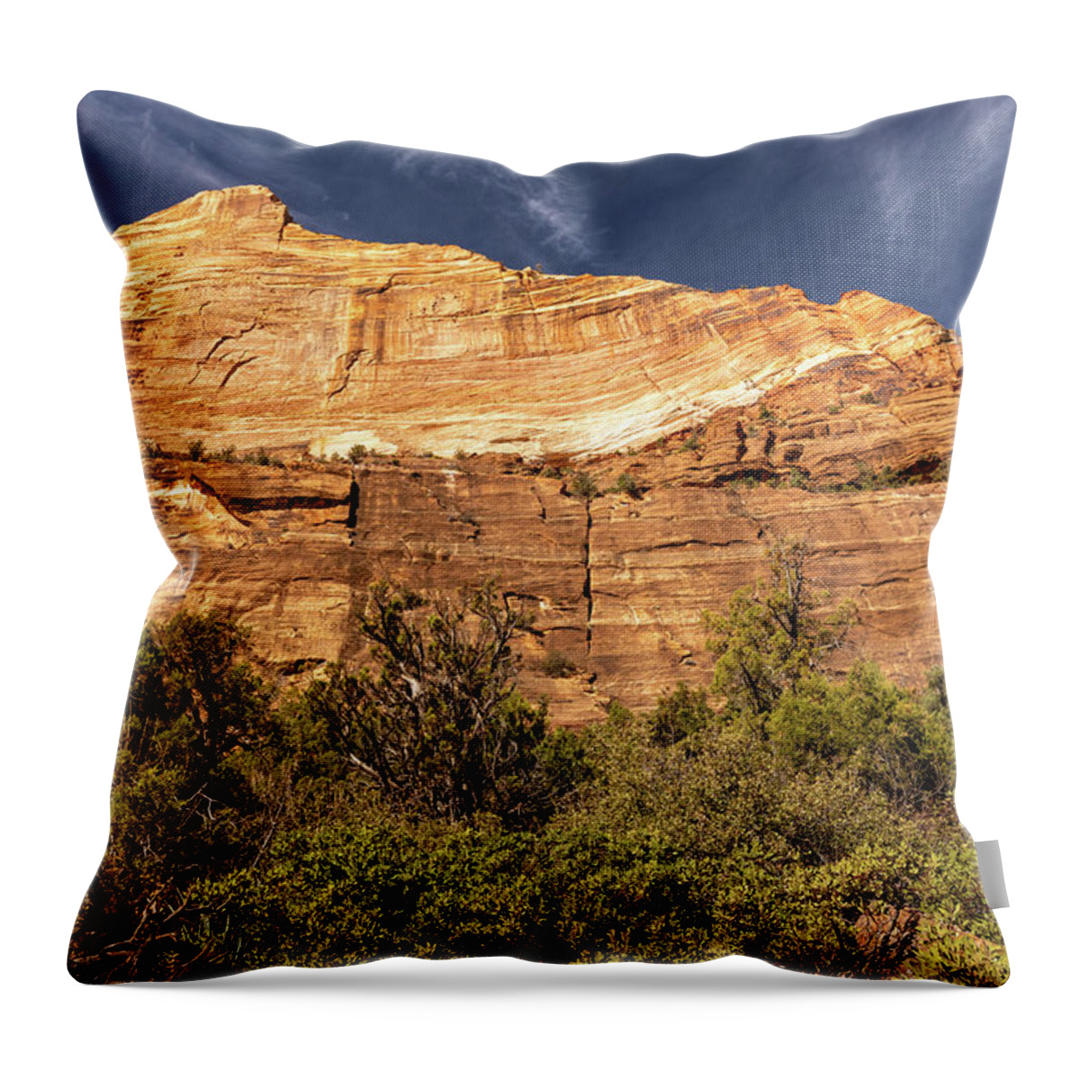 Zion Throw Pillow featuring the photograph Figured Cliff Face by Craig A Walker