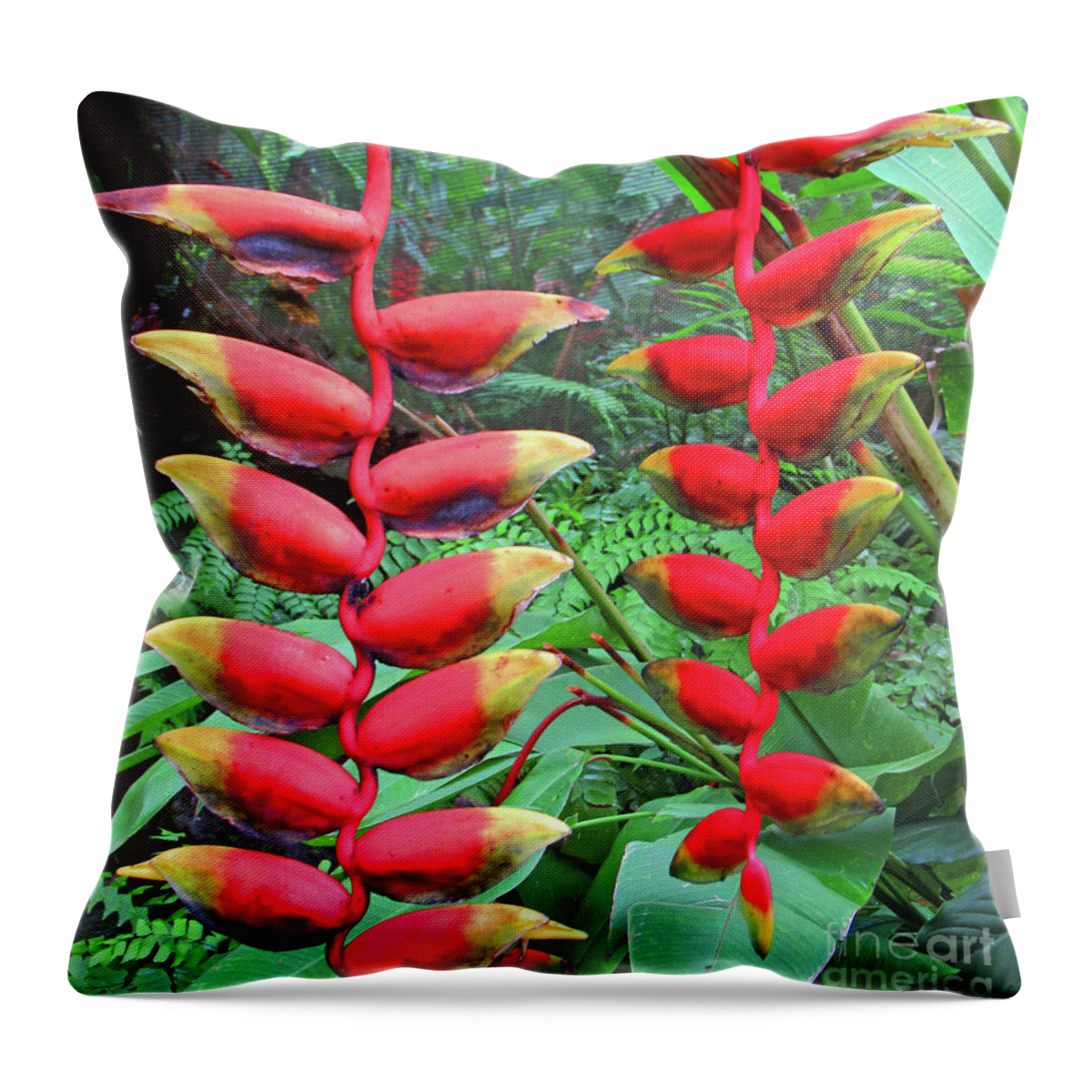 Heliconia Throw Pillow featuring the photograph Fiji Heliconia by Randall Weidner
