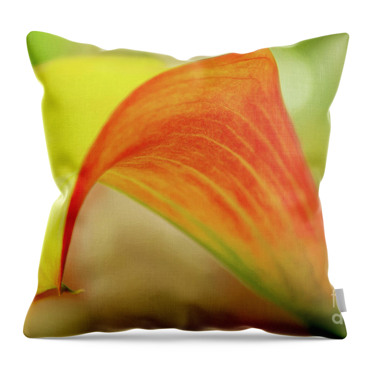 Lily Throw Pillow featuring the photograph Fill with Love and Mix Around by Marilyn Cornwell