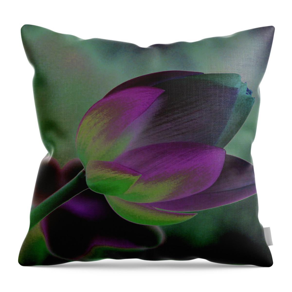 Flower Throw Pillow featuring the photograph Filtered Lotus 1268 by Carolyn Stagger Cokley