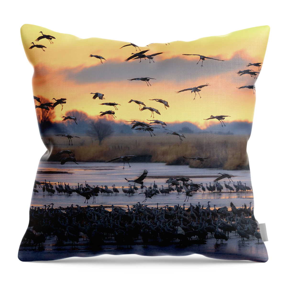 Sandhill Cranes Throw Pillow featuring the photograph Final Approach by Susan Rissi Tregoning